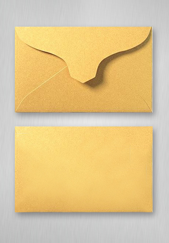 Business Card Envelope